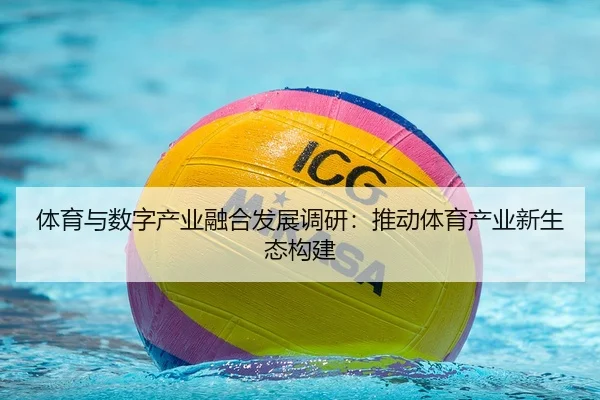 体育与数字产业融合发展调研：推动体育产业新生态构建